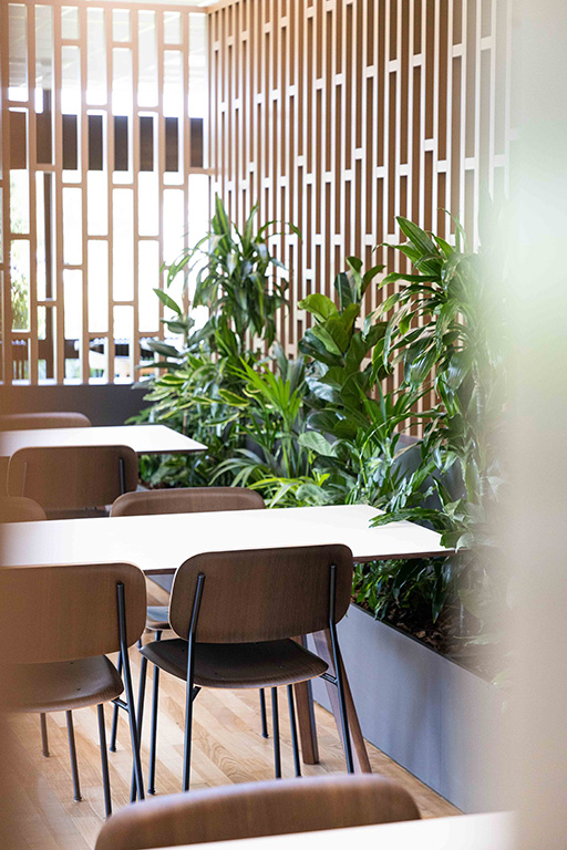 RWE - Geertruidenberg lr -_-15